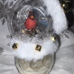 Festive Cardinal Snow Globe lights up candle one of a kind homemade